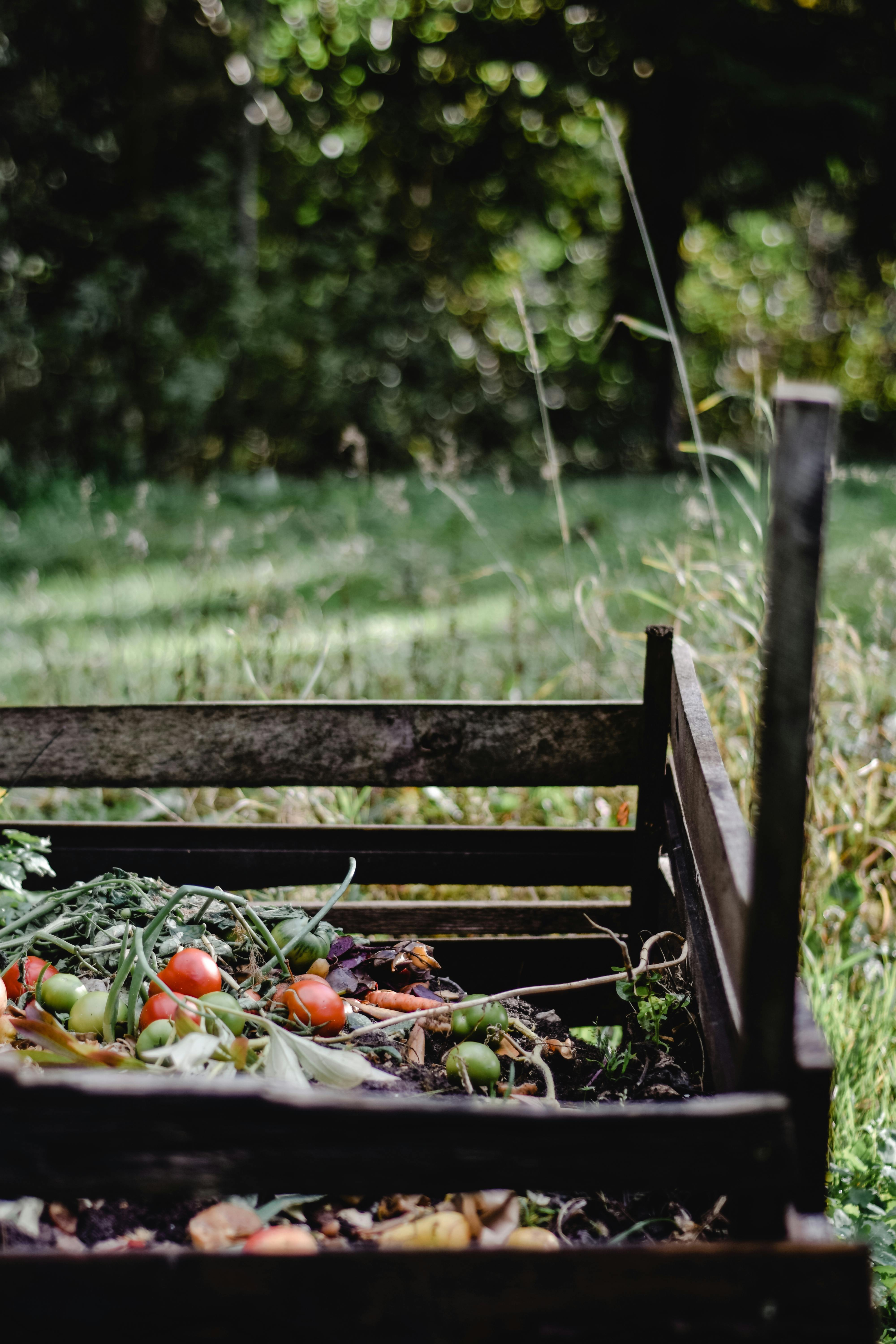 Food Sustainability in the Czech Republic 